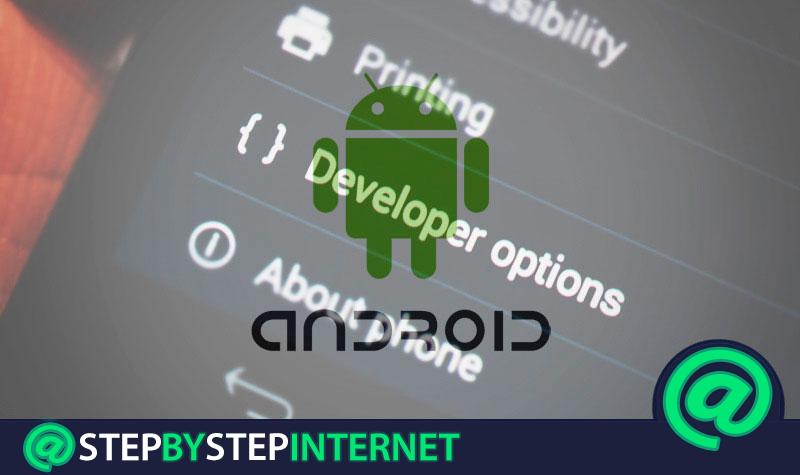 How to activate the developer options on your Android device and which are the best? Step by step guide 2020