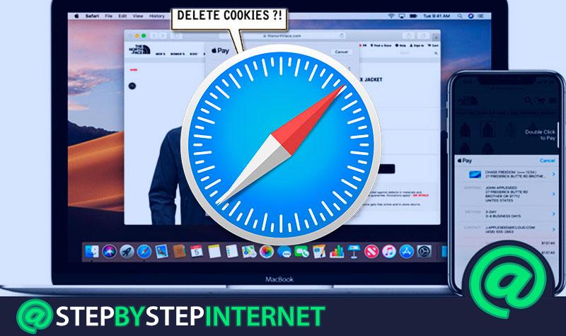 How to delete the cookies stored in the Safari browser of your iPhone or MacOS? Step by step guide