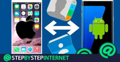 How to transfer all contacts from iPhone to Android phone? Step by step guide