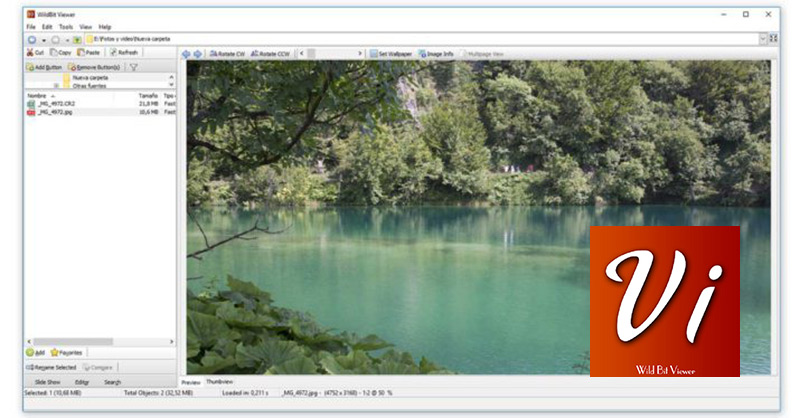 instal the last version for windows WildBit Viewer Pro 6.12