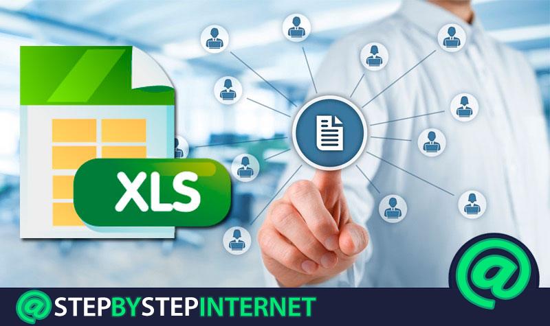 .XLS file extension What are and how to open such files?